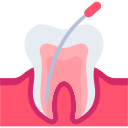 Root Canals